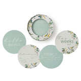 Snuggle Hunny Milestone Cards Eucalypt