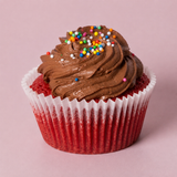 Chocolate Sprinkle Cupcake