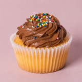 Chocolate Sprinkle Cupcake