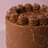 Chocolate Sprinkle Cake