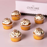 Choc Drizzle Cupcakes