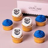 NRL Team Cupcakes