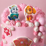 Paw Patrol Cake Pink