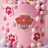 Paw Patrol Cake Pink