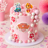 Paw Patrol Cake Pink
