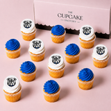 NRL Team Mini Cupcakes