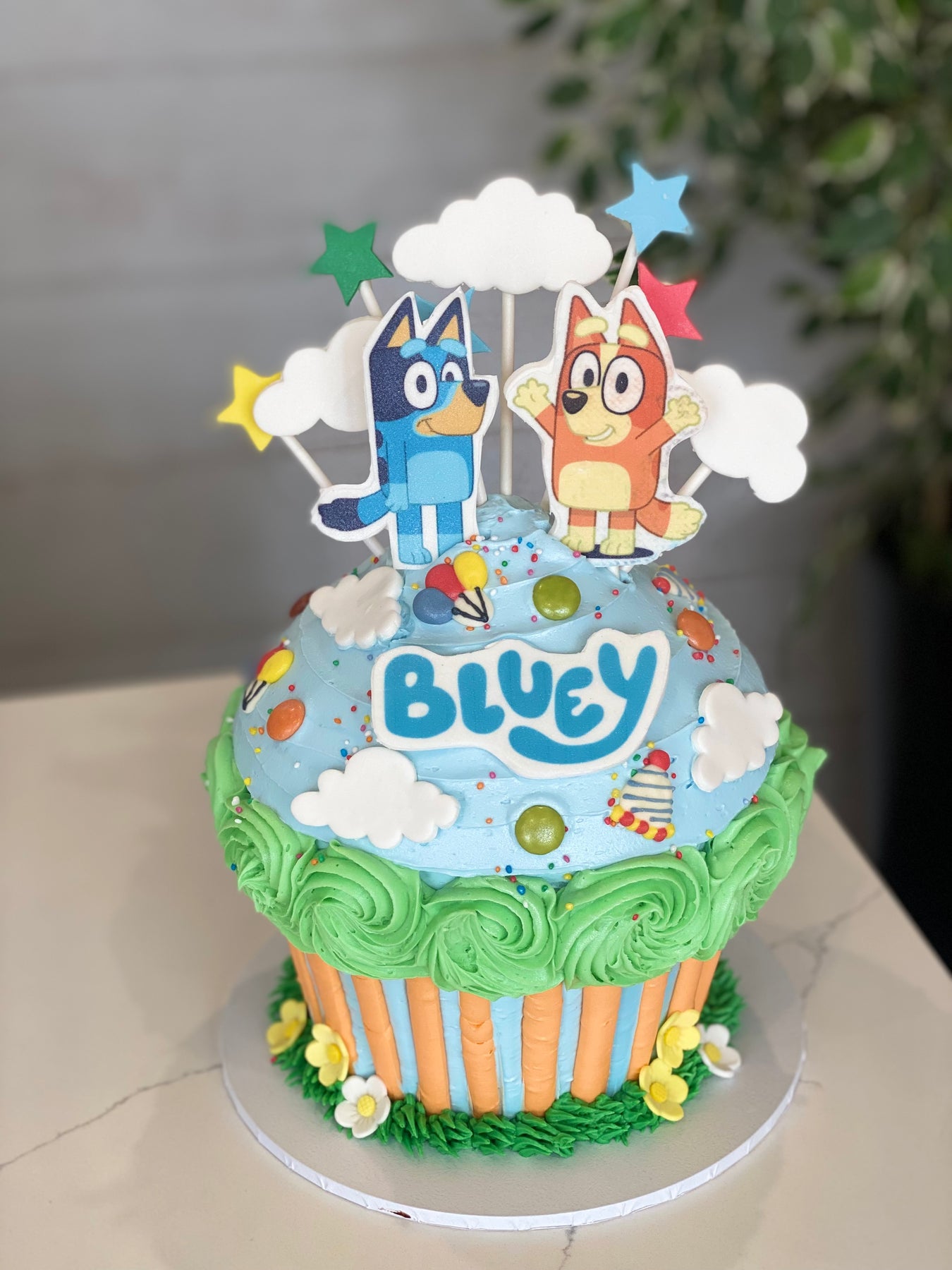 Bluey Maxi – The Cupcake Factory