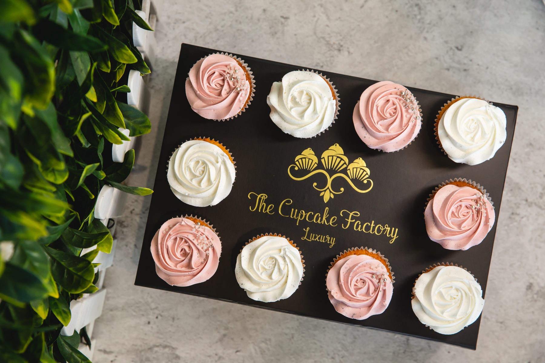 Cake Factory rose