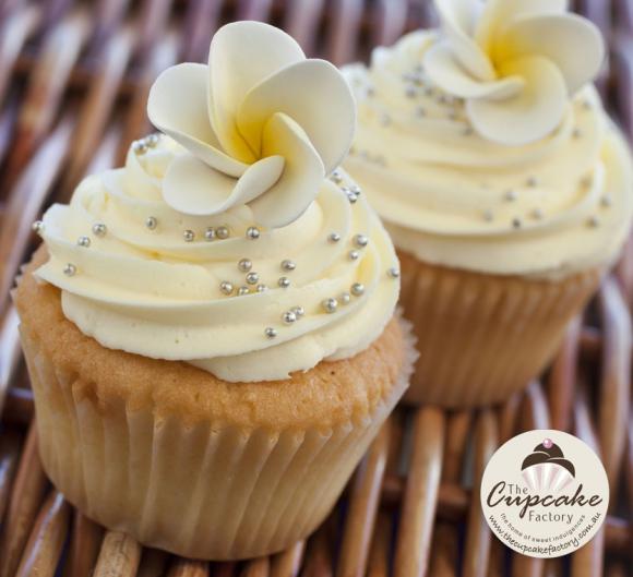 Frangipani cupcakes - 12 Cupcakes – The Cupcake Factory